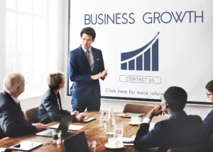 Business Growth Consultant