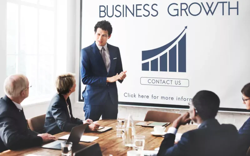 Business Growth Consultant